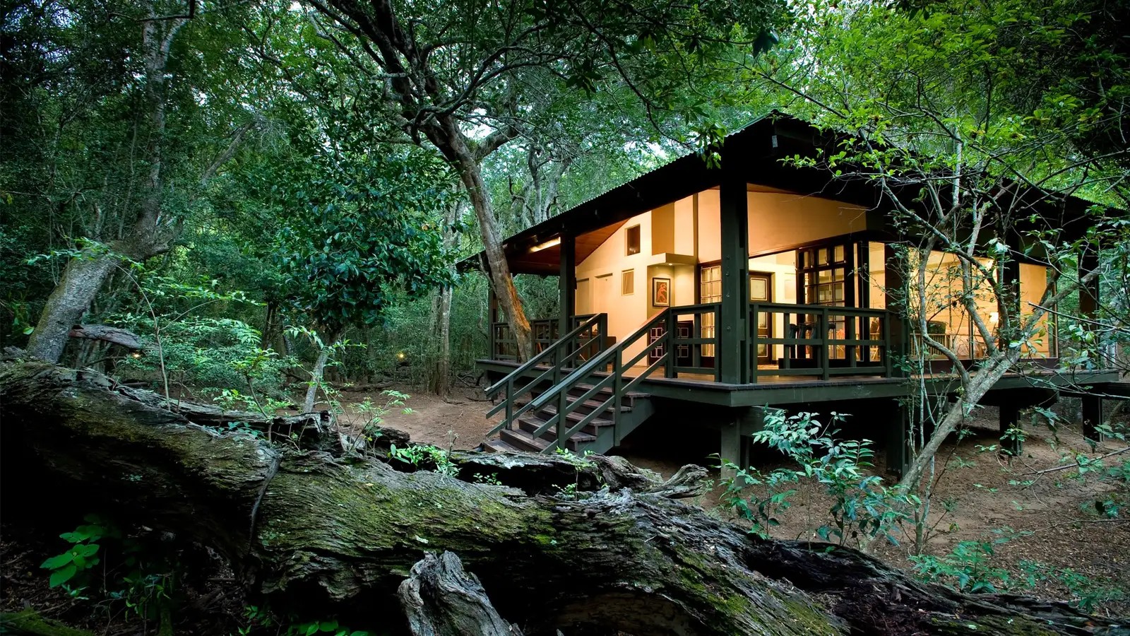 AndBeyond Phinda Forest Lodge