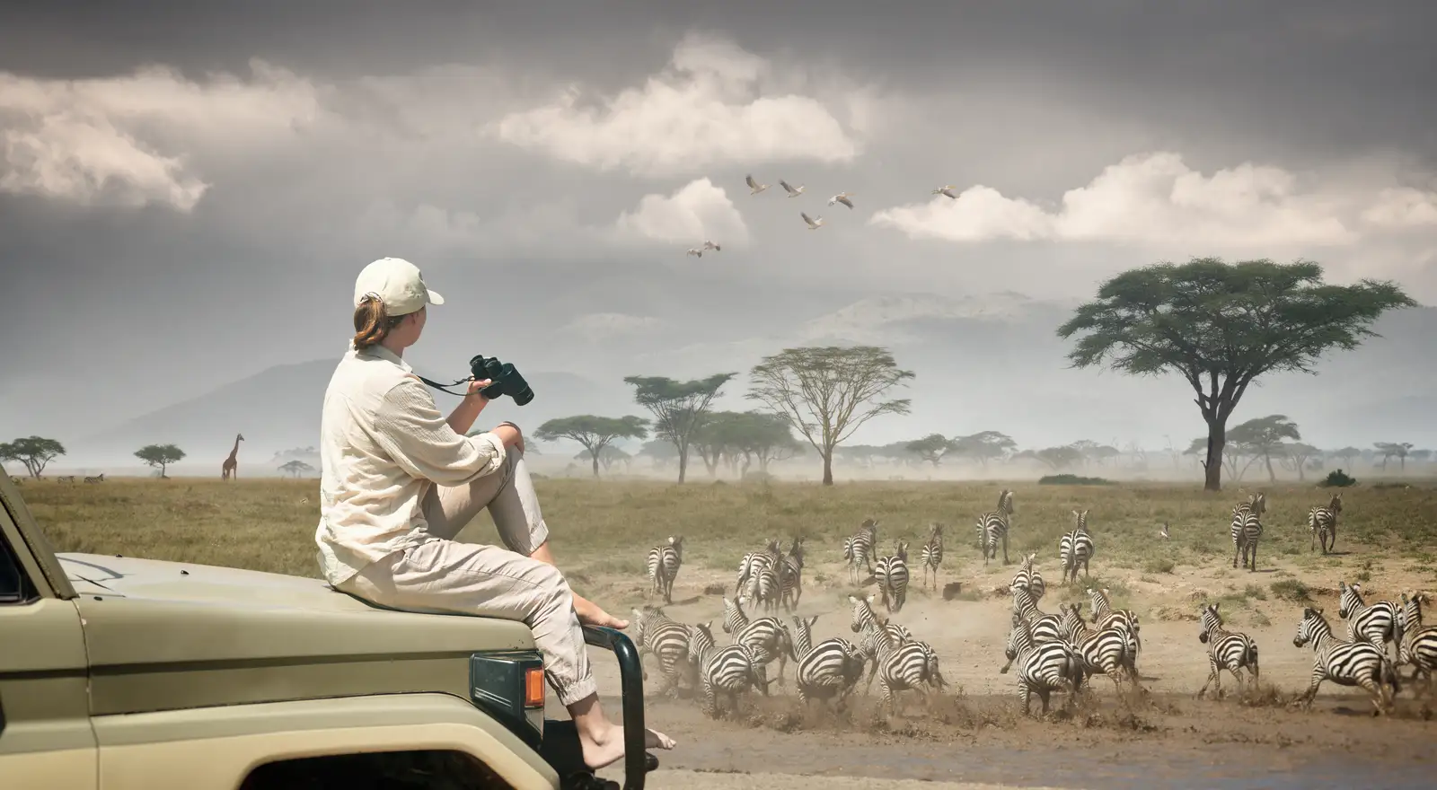 Tanzania Safaris