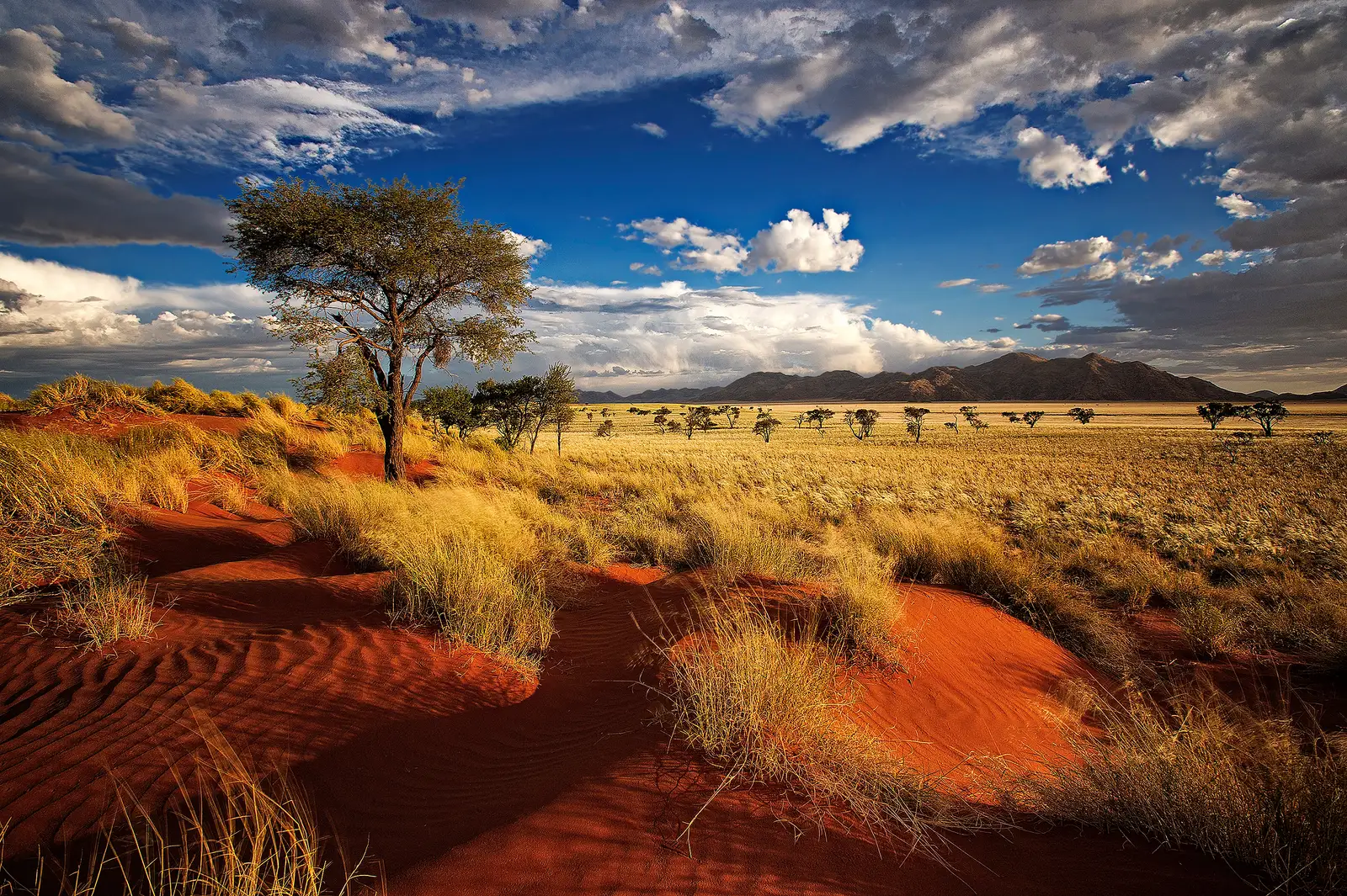 namibia safari holiday destinations