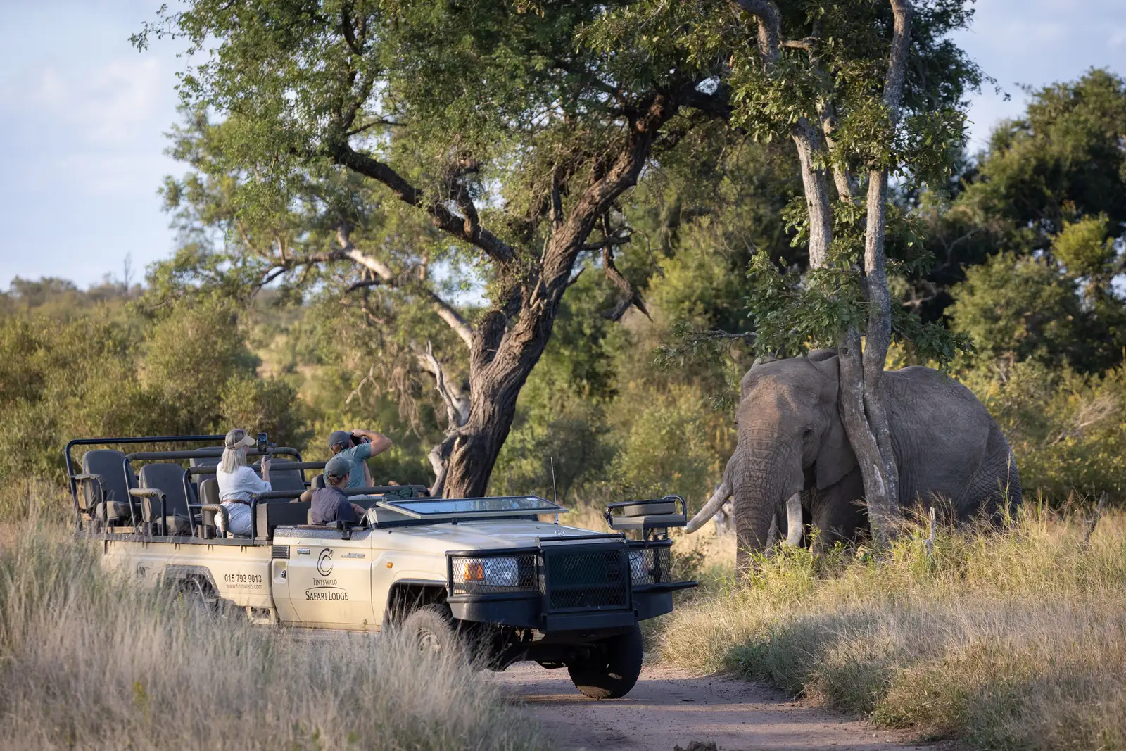 tintswalo safari lodge explorer suite