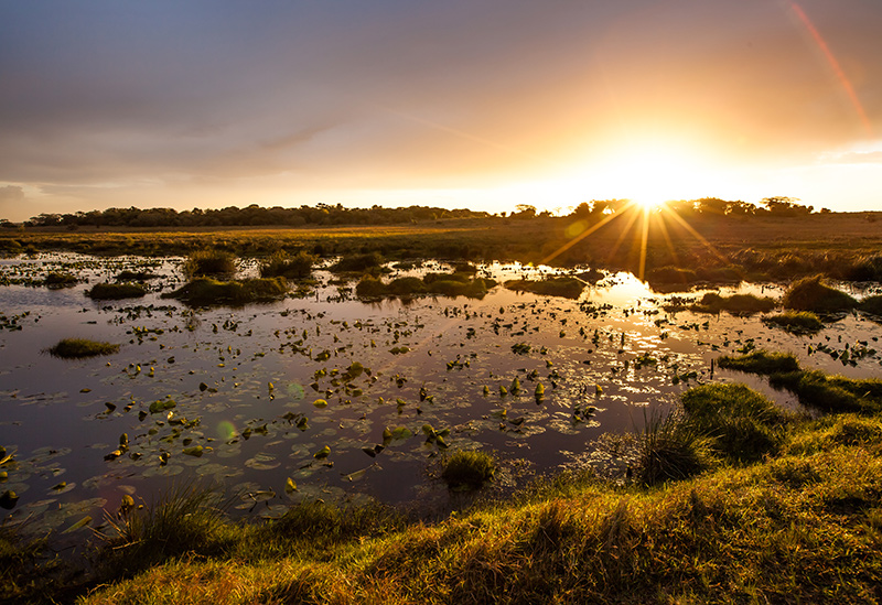 iSimangaliso Wetland Park - South African World Heritage Sites