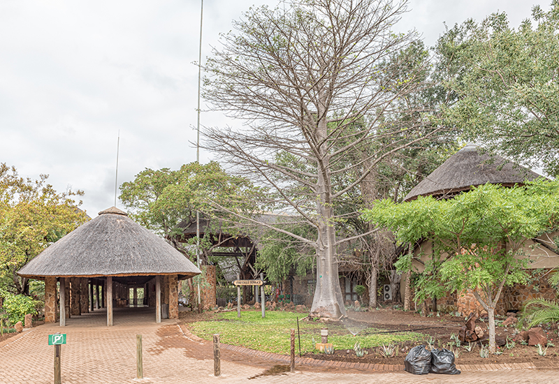 Mopani Rest Camp entrance