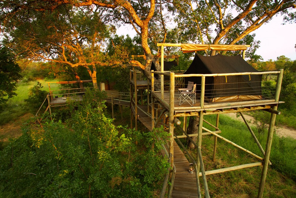 rhino post treehouse Sleepouts