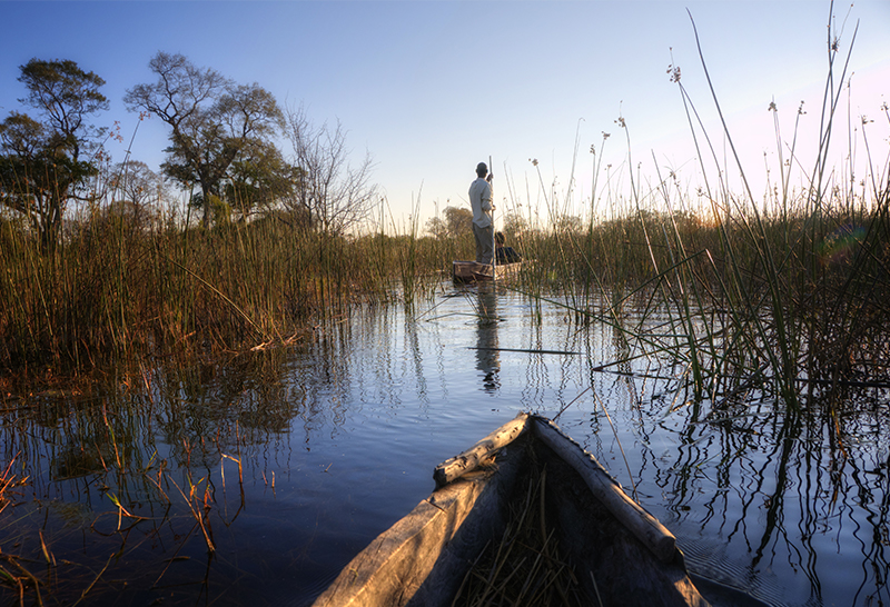 Mokoro safari - Botswana phrase guide 