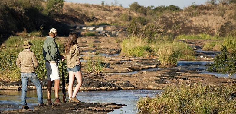 Walking safari