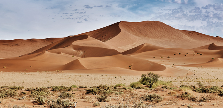 Namibia desert