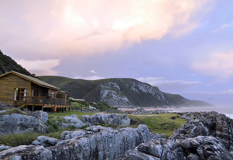 Tsitsikamma Nature Reserve along the Garden Route 