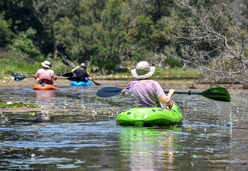 Canoeing excursion in the Tsitsikamma Forest