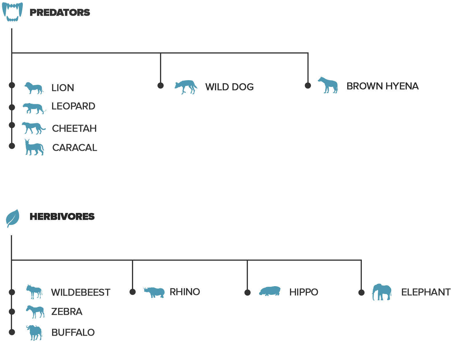 what animals you can see at shamwari game reserve