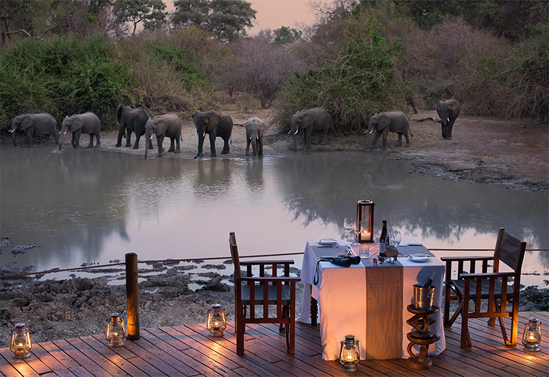 Elephants drinking from a waterhole at Kanga Camp 