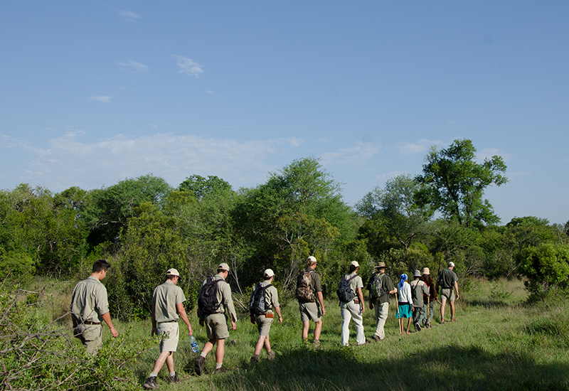 Walking safaris in Africa