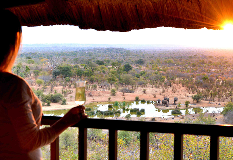 Elephant drinking from waterhole at Victoria Falls Safari Lodge 