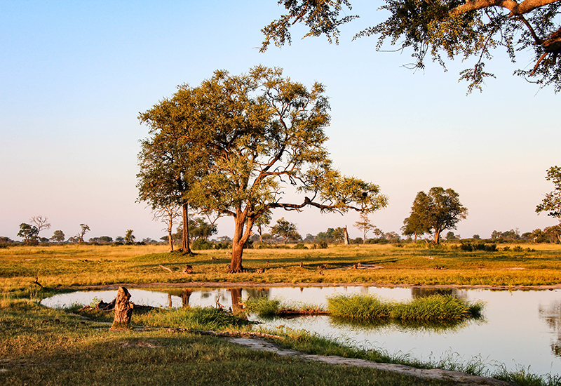 Hidden gems of Zimbabwe - Hwange National Park 