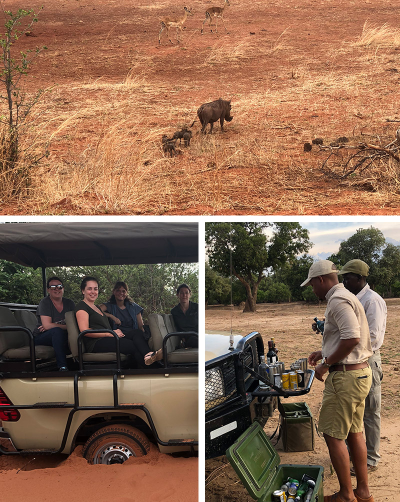 Safari in Zimbabwe - Bumi Hills 