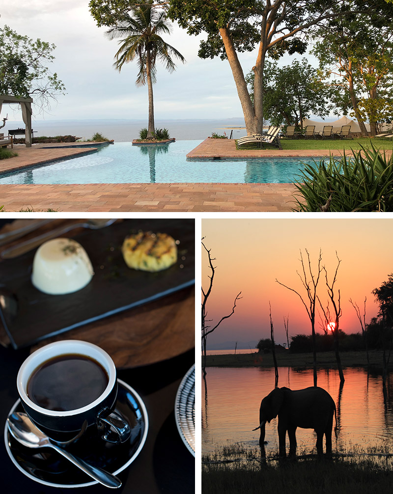 Safari in Zimbabwe - pool at Bumi Hills