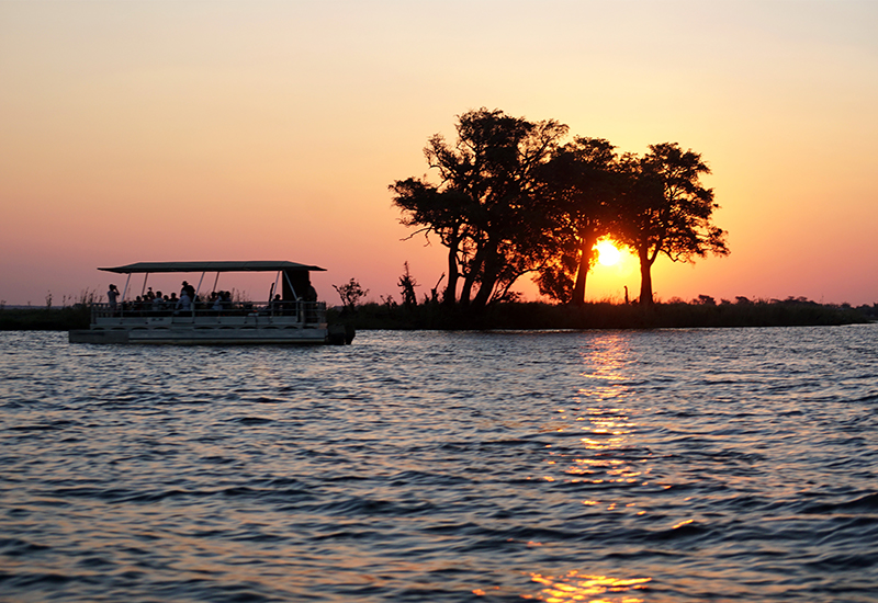 Chobe river cruise 