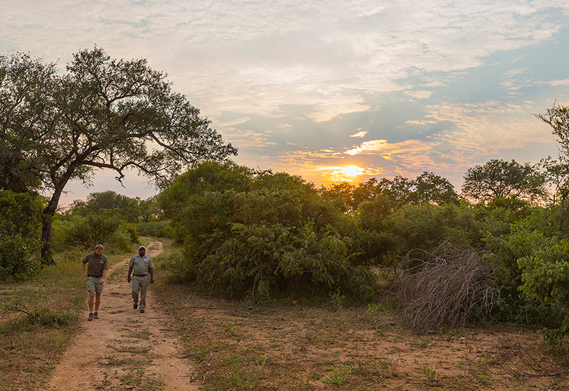 Walking safaris in Thornybush Private Game Reserve