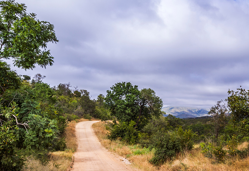 game drive route at Berg en Dal 