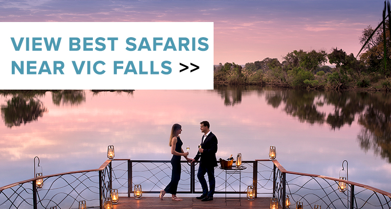 man and woman standing near vic falls on zambezi river