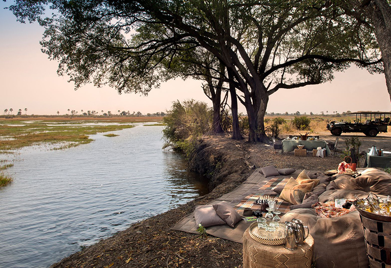 picnic lunch on safari at Sandibe - Okavango Delta Lodges 