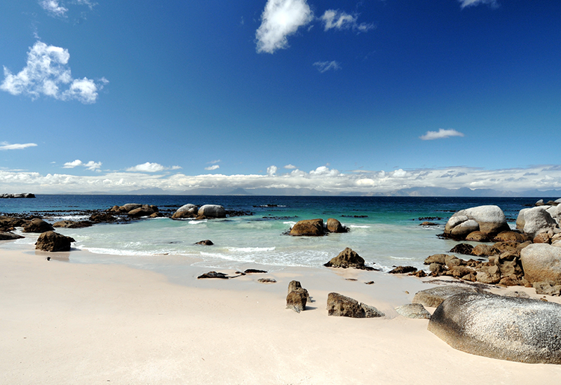 Boulders Beach Cape Town