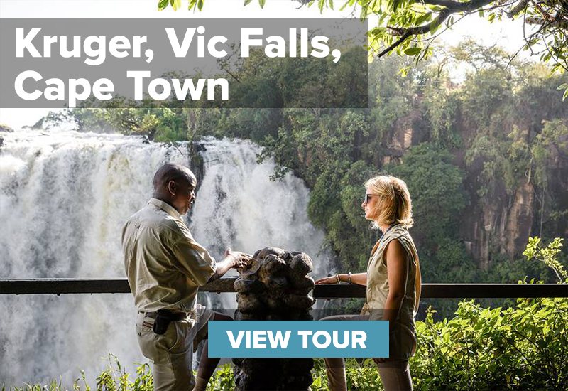 guest and guide standing in front of victoria falls