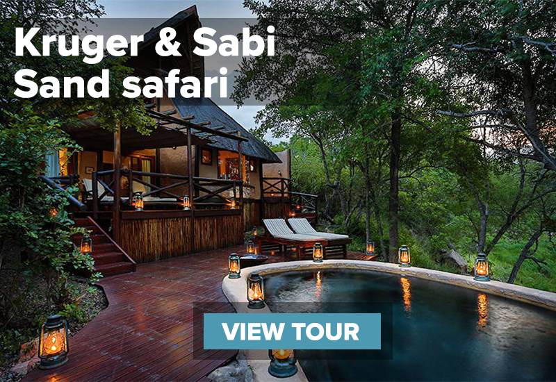 safari lodge with pool