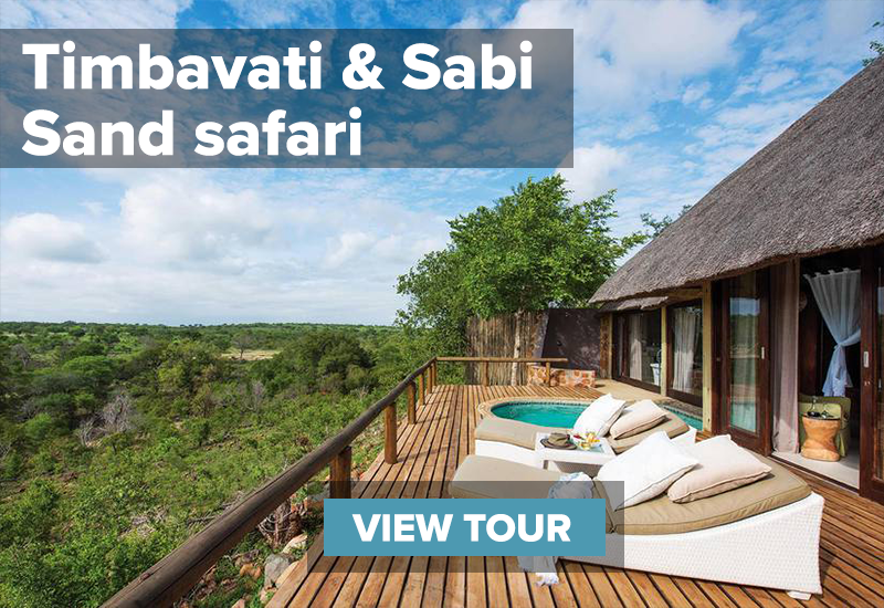 safari lodge deck and plunge pool