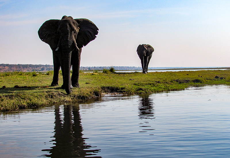 boating safari Zambezi River