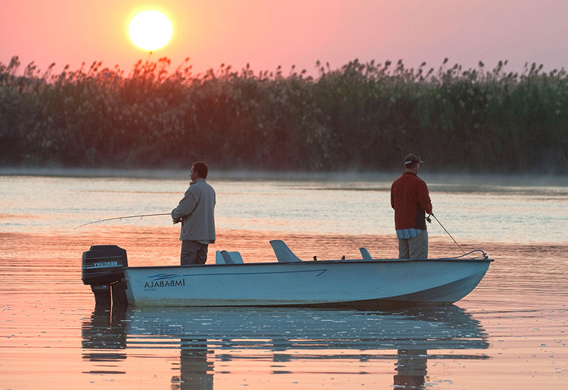 Tiger fishing on Zambezi River