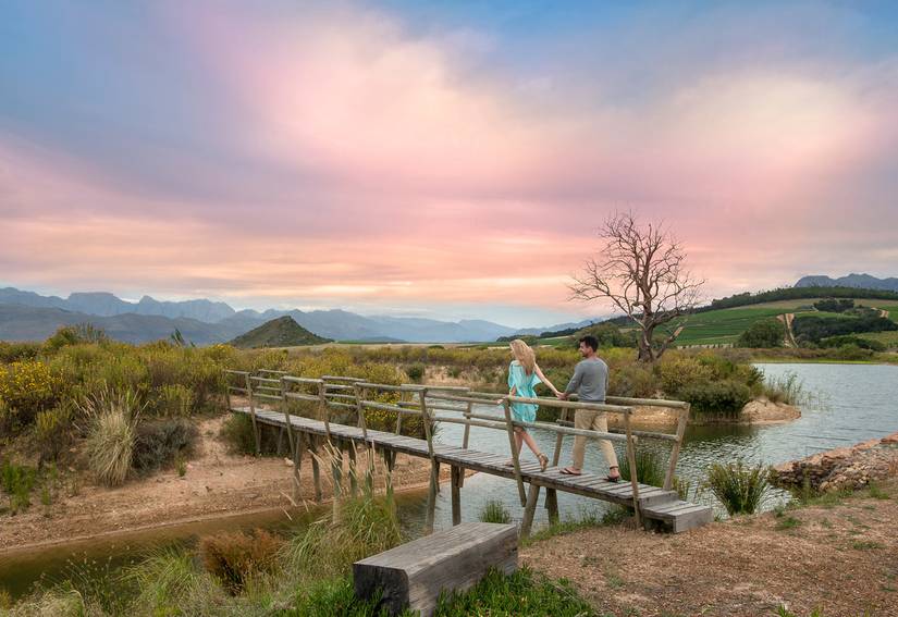 Cape Wine Route | Babylonstoren