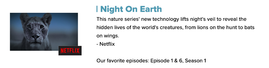 night on earth netflix