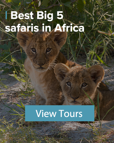 best big 5 tours