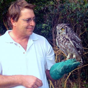 the friendly spotted eagle owl