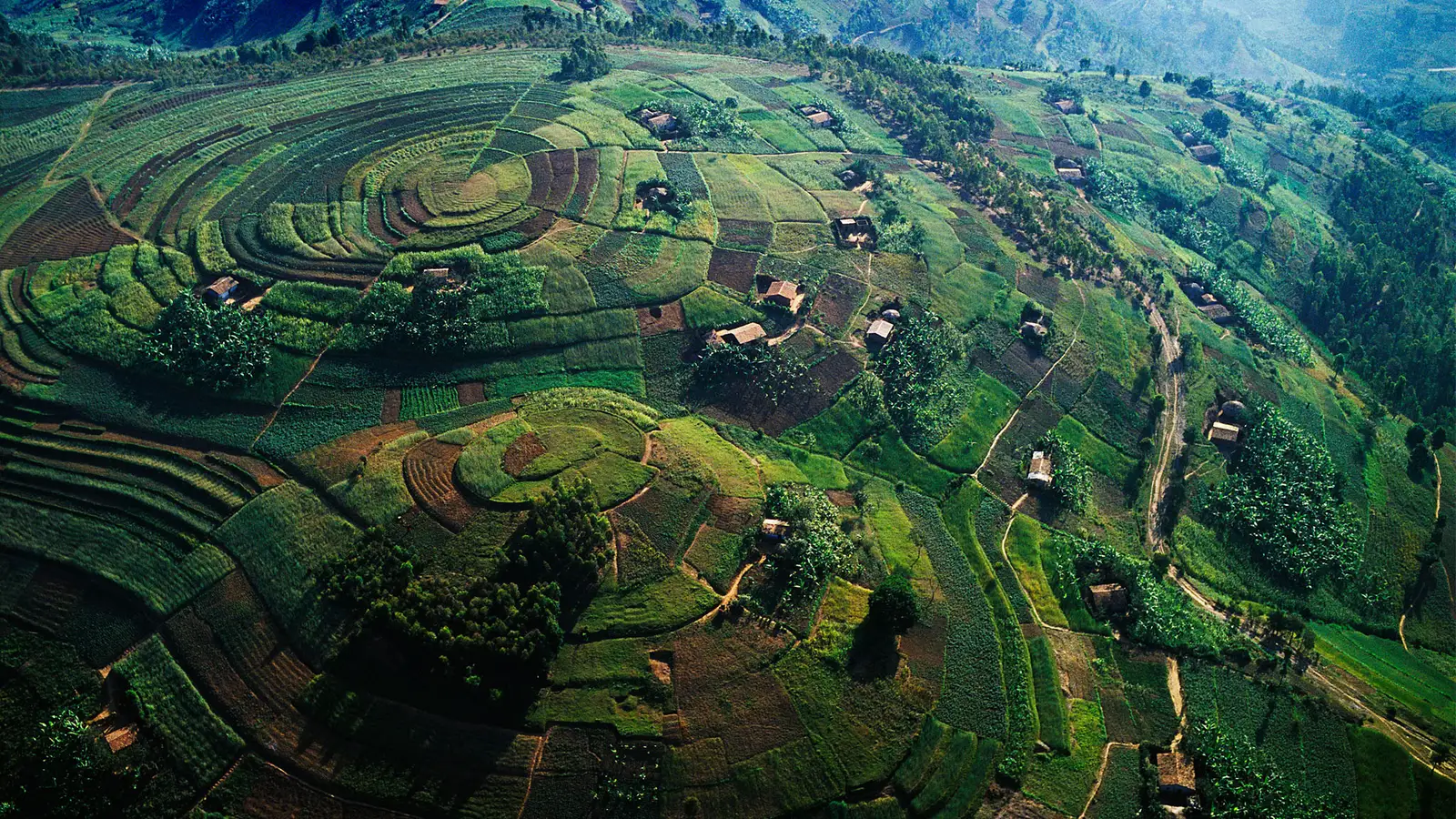 uganda safari destination