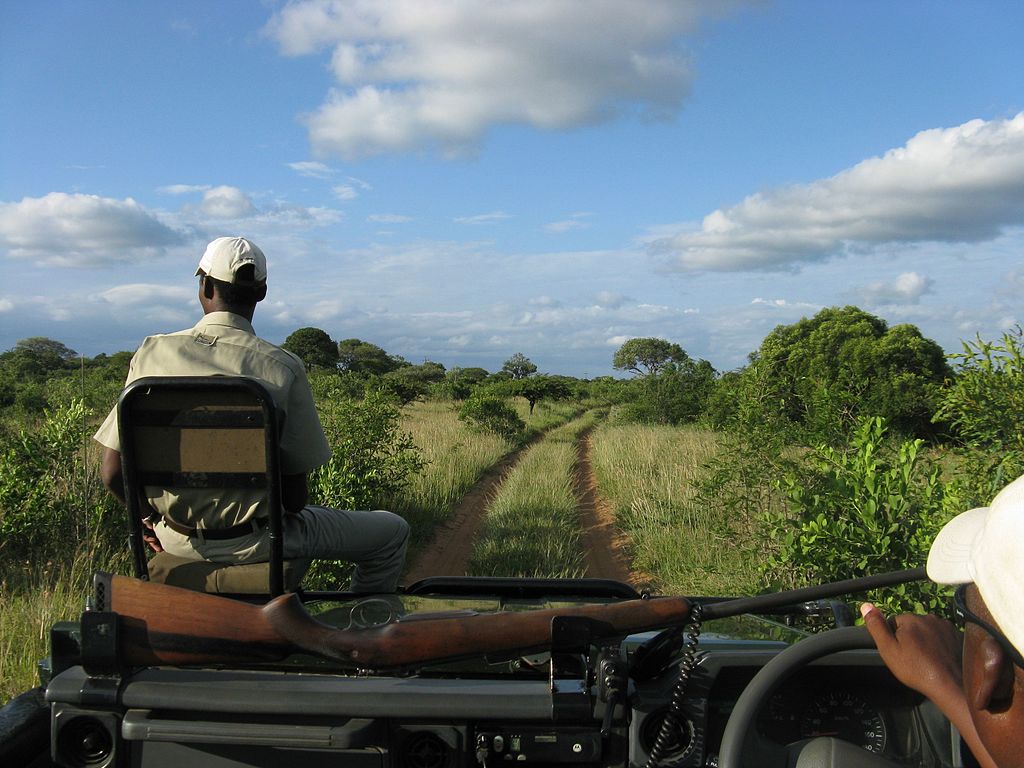 On safari in Phinda