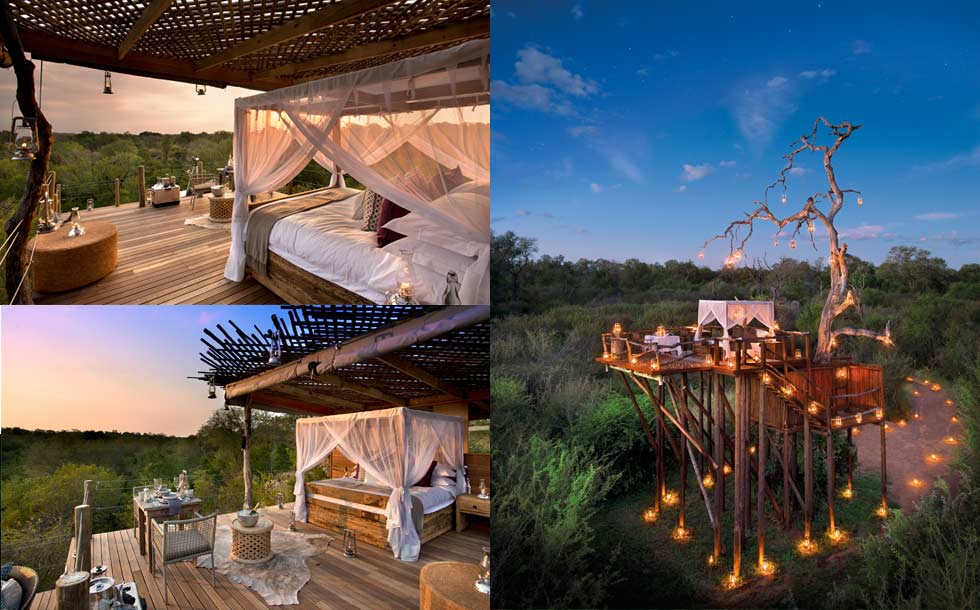 chalkley treehouse sabi sands