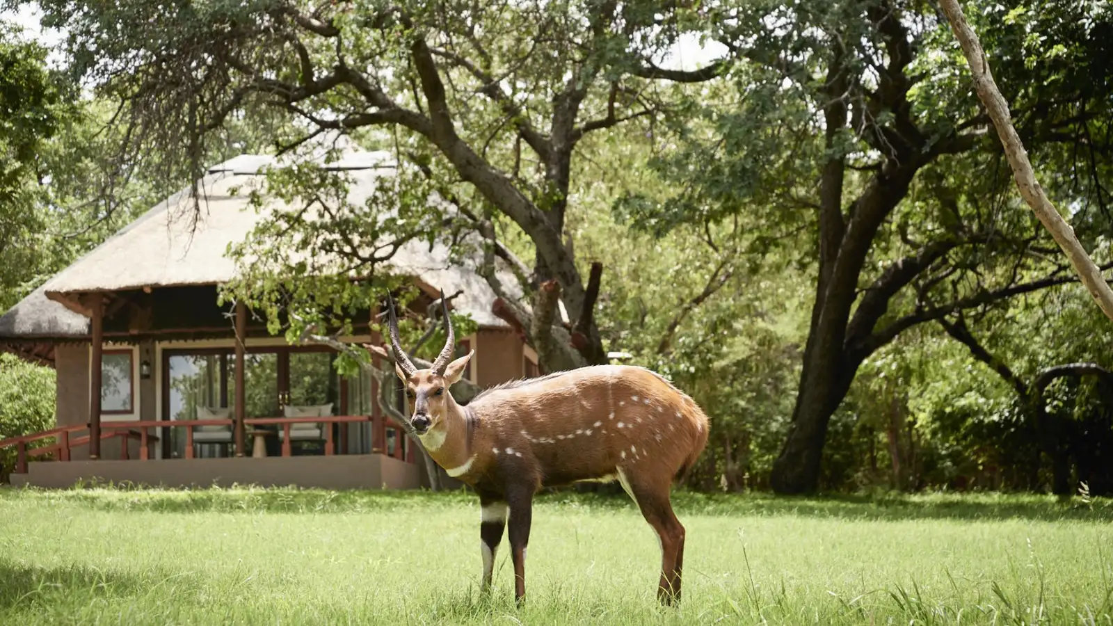 Sanctuary Chobe Chilwero