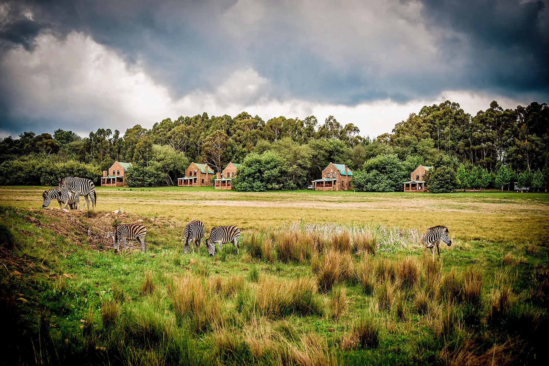 Dunkeld Estate