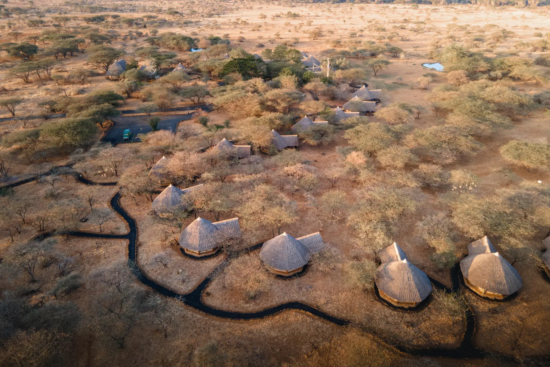 safari kenia 7 dagen