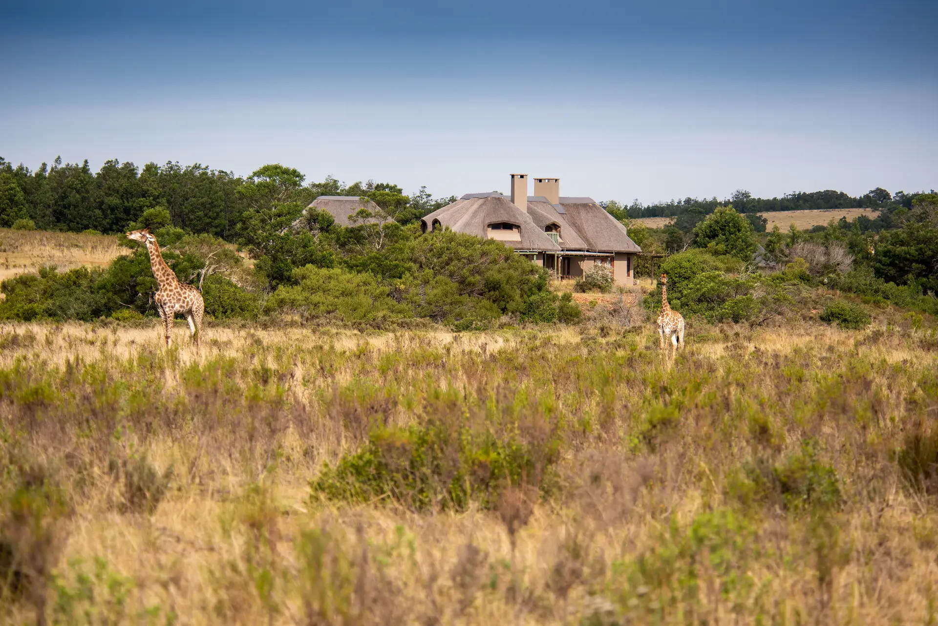 Lehele Lodge Villas