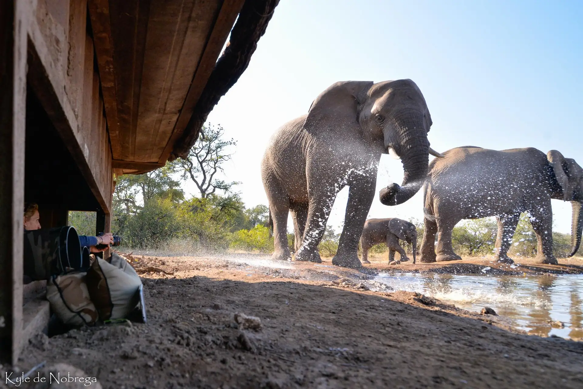 Mashatu Tented Camp