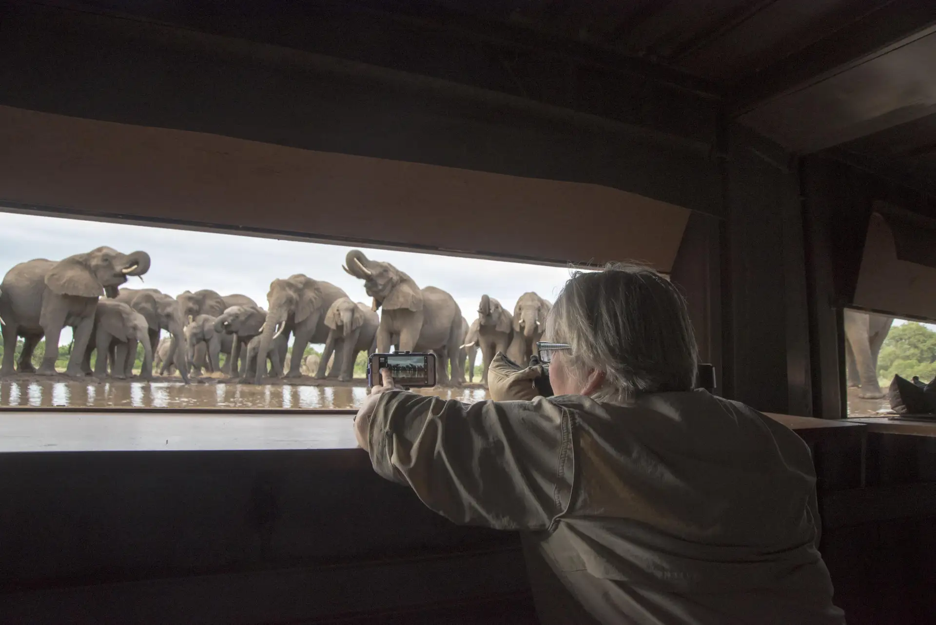 luxury safari lodge botswana