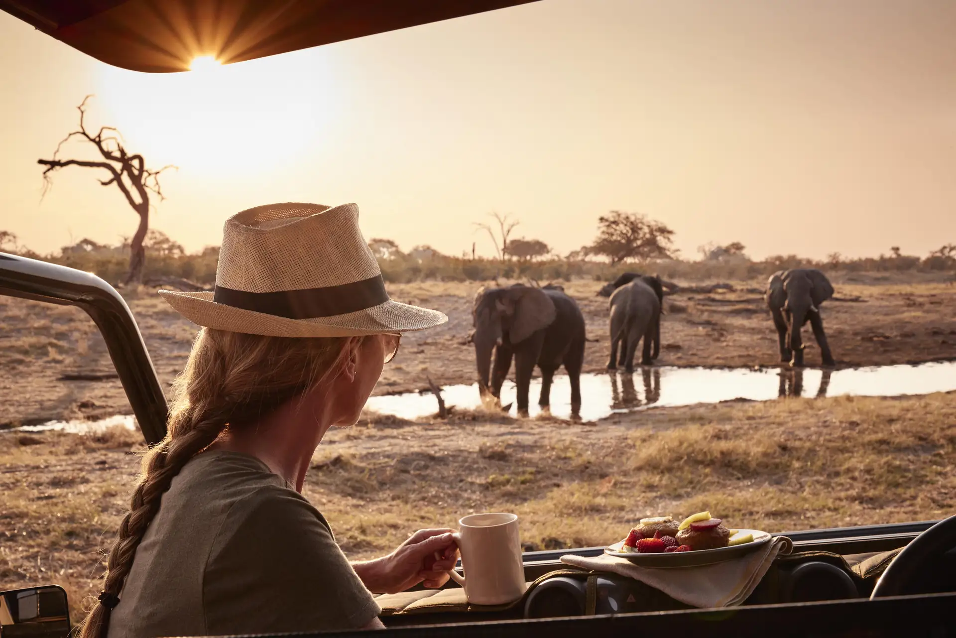 Belmond Savute Elephant Lodge