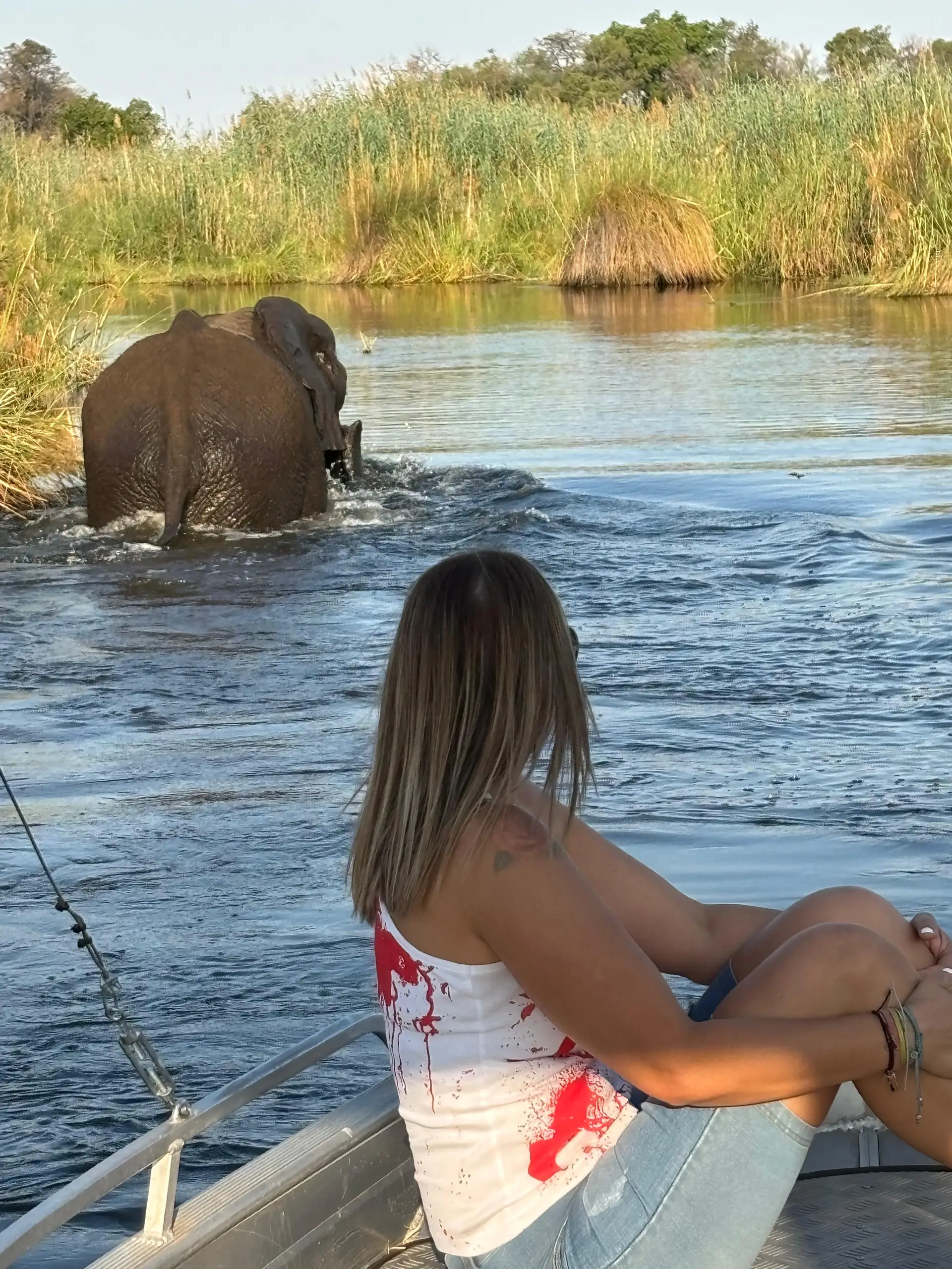 Amazing pics from a US guest who stayed at Chobe Game Lodge and Camp Okavango in Botswana