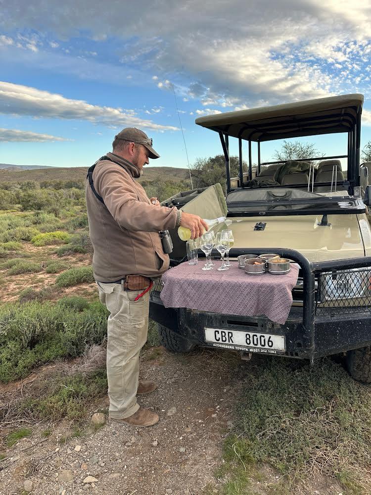 Our American guests who stayed at Sanbona Game Reserve, just a scenic three-hour drive from Cape Town, immersed themselves in the breathtaking beauty of this renowned wildlife sanctuary