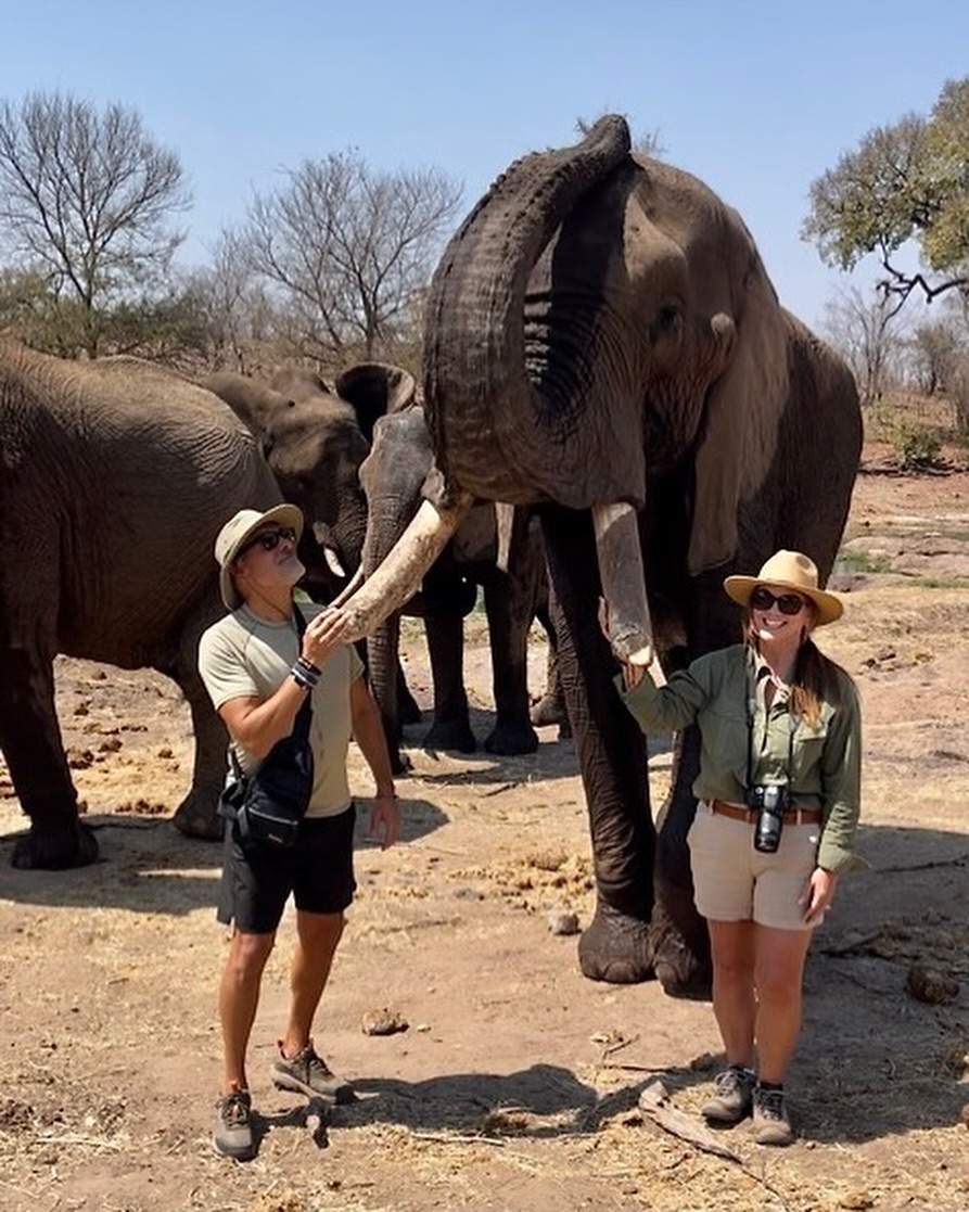 Our American guests at The Elephant Camp in Zimbabwe experienced unforgettable moments interacting with elephants, including touching and connecting with these gentle giants under expert supervision