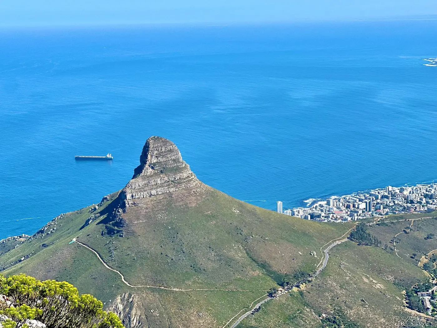 Our guests from the Florida explore Cape Town's Table Mountain, observe penguins at Boulders Beach, and taste the wines of the scenic Winelands