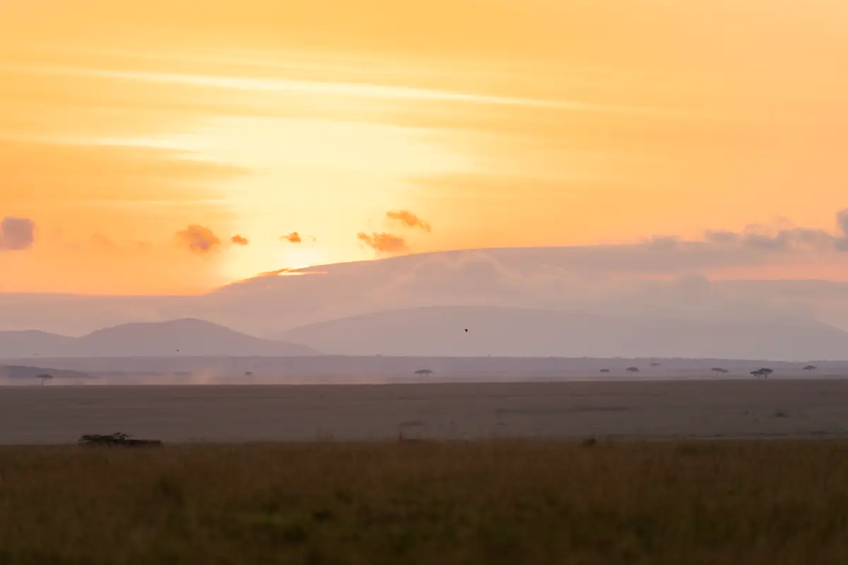 Our guests' transformative stay at Governors Camp included magical balloon rides and stunning photos of lions, cheetahs, and sunsets captured with professional photography gear. Their phenomenal images speak for themselves