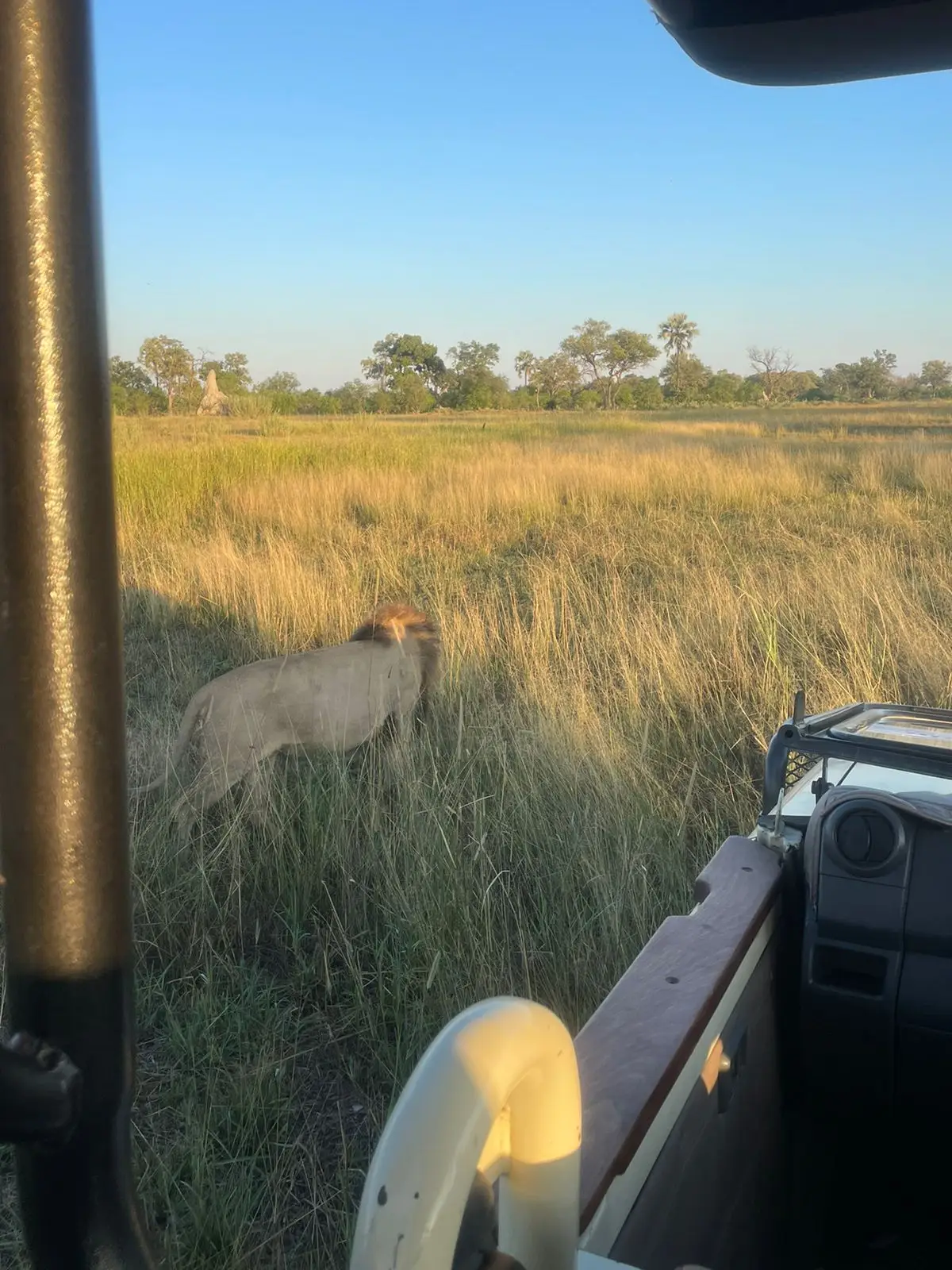 Our US guest enjoyed a low-season safari in the Okavango Delta at Sanctuary Baines and Stanley Camps, with game drives featuring leopards, elephants, and lions